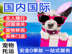 衡阳南岳航空货运国际宠物托运 【国